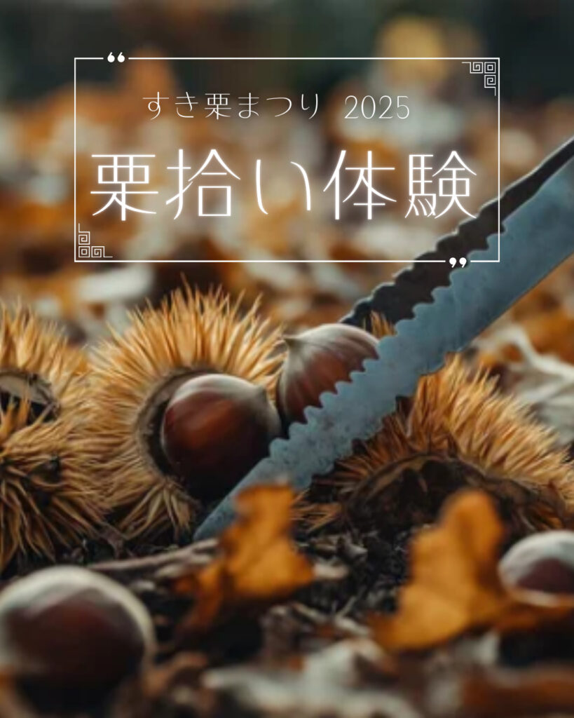 栗拾い体験 819x1024 - 【イベント】🌰🍂栗拾い体験🍂🌰※受付終了しました